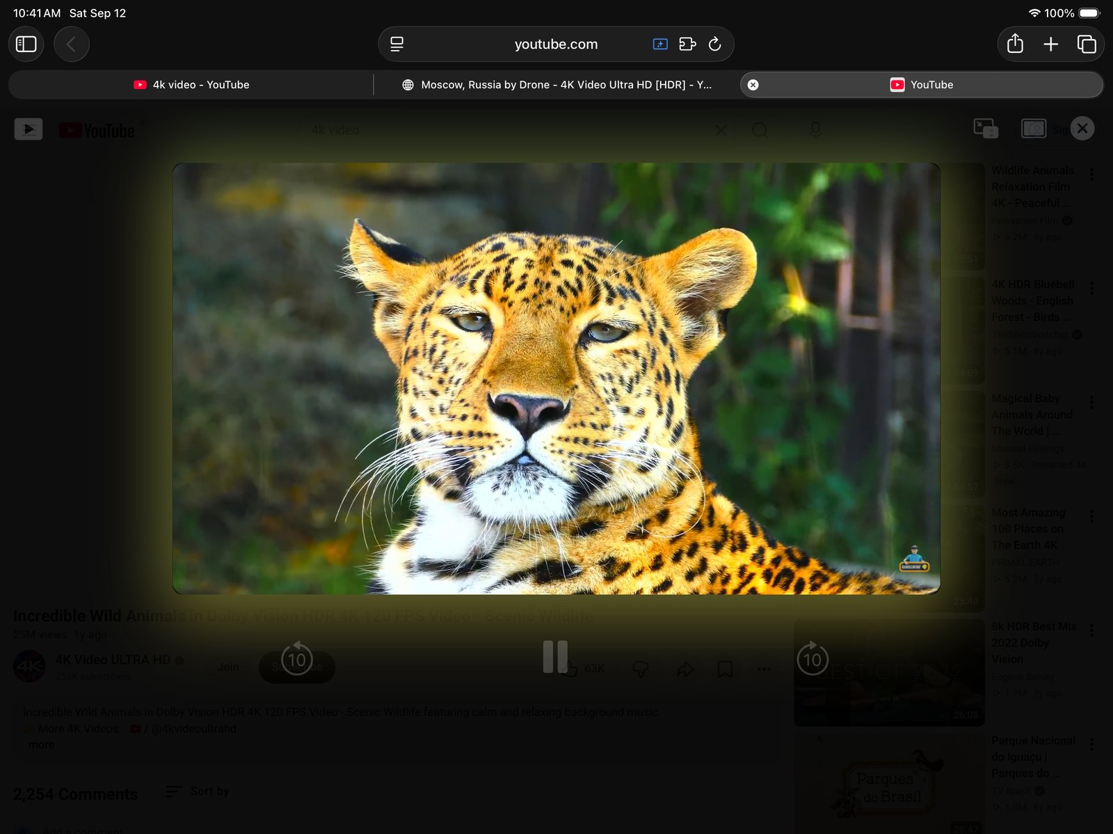 The same thing on iPad, with the playback controls over the dimmed page